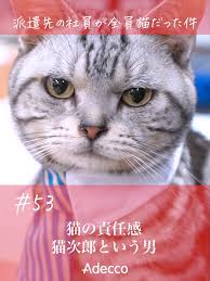 猫次郎에 대한 이미지 검색결과