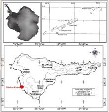 Attēlu rezultāti vaicājumam “Dianema nivale”