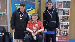 Image result for North Wales Boccia