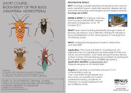 Attēlu rezultāti vaicājumam “Heteroptera”