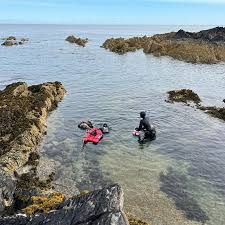 Image result for Apneists UK