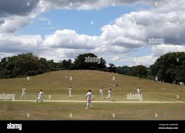 Image result for Ewhurst Cricket Club