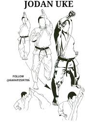 Image result for Jodan Karate