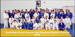 Image result for Redbridge Judo Club