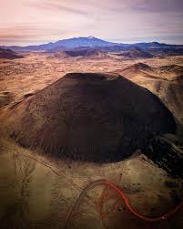 Attēlu rezultāti vaicājumam “Craterium sp.”