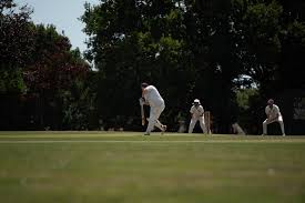 Image result for Bexhill Cricket Club