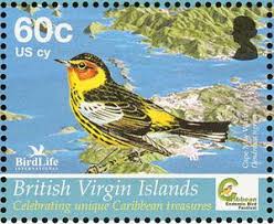 Image result for Dendroica tigrina