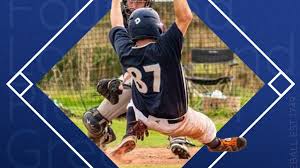 Image result for Norwich Iceni Baseball Club