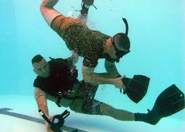 Image result for Dive Crew Scuba Diving