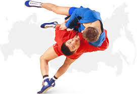 Image result for Combat Sambo