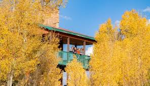 Image result for Reigate and Redhill Ymca Boccia Club