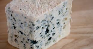 Image result for bleu d'auvergne