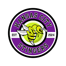 Image result for Stingers Korfball Club