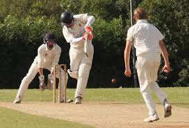 Image result for Lewdown Cricket Club
