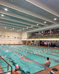 Image result for York University Swimming & Water Polo Club