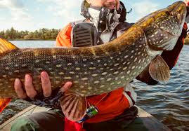 Image result for рыбалка