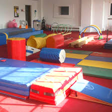 Image result for Tessaro Gymnastics Club