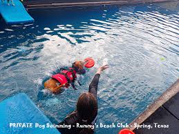 Image result for Hazel Grove & Bramhall Swimming Club