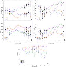 Attēlu rezultāti vaicājumam “Saussurea esthonica leaf”