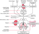 a form of <b>septic shock</b> due