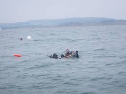 Image result for Haslemere Sub Aqua Club