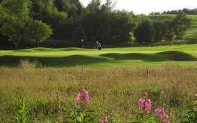 Image result for Carnwath Golf Club