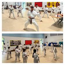 Image result for Broadwell Karate Club