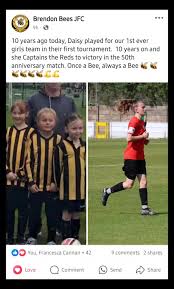 Image result for Brendon Bees Junior Football Club