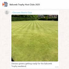 Image result for Devizes Bowls Club