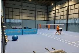 Image result for Tara Sports Badminton Club