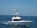 Sarasota Sport Fishing - Charter Boat Shark and Shark2