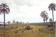 El Palmar National Park - Wikipedia, the free encyclopedia