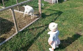 Image result for 4870315629土井