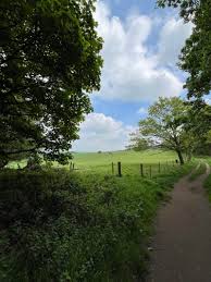 Image result for Kidsgrove Cc