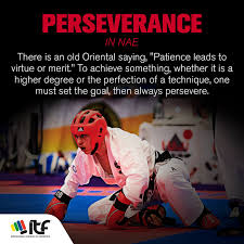 Image result for I T F Taekwondo (Andover)