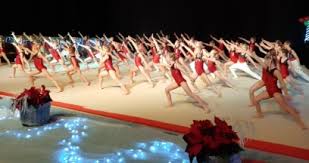 Image result for Kestrel Gymnastic Group