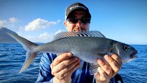 Image result for Aprion virescens