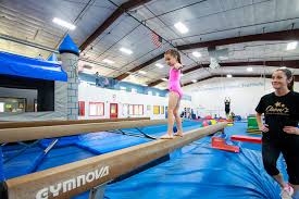 Image result for Focus Institute of Gymnastics