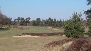 Image result for Walton Heath Golf Club