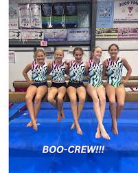 Image result for Mk Springers Gymnastics Club