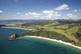 Image result for new chums beach