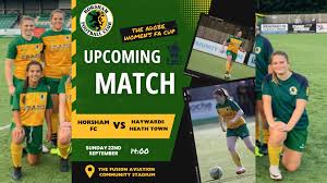 Image result for Haywards Heath Town Ladies Football Club