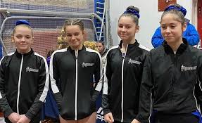 Image result for Crewe & Nantwich Gymnastics Club