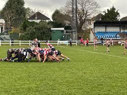 Image result for Sutton & Epsom Rugby Football Club