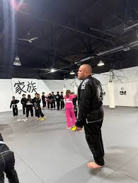 Image result for Daniel Gracie Academy