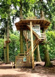 Image result for Go Ape! Thetford