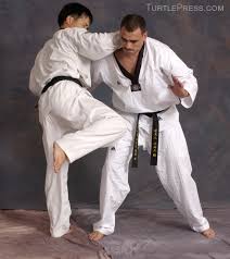 Image result for Tkd Self Defense