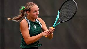 Image result for V-Tennis