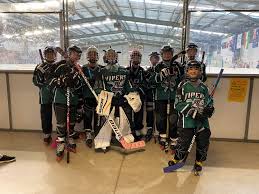 Image result for Vipers Roller Hockey Team