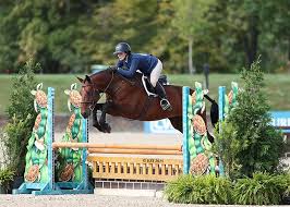 Image result for Shey Copse Riding Centre